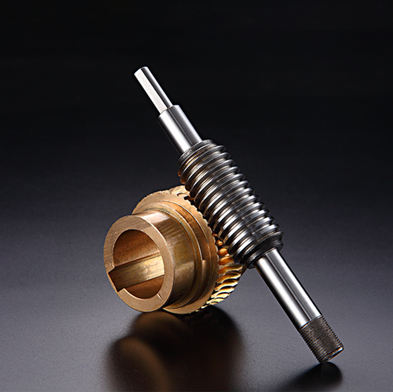 高精密定制雙導(dǎo)程蝸輪蝸桿加工0.5模-6模高精密蝸輪蝸桿廠家