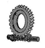 蝸輪蝸桿傳動 蝸輪蝸桿傳動