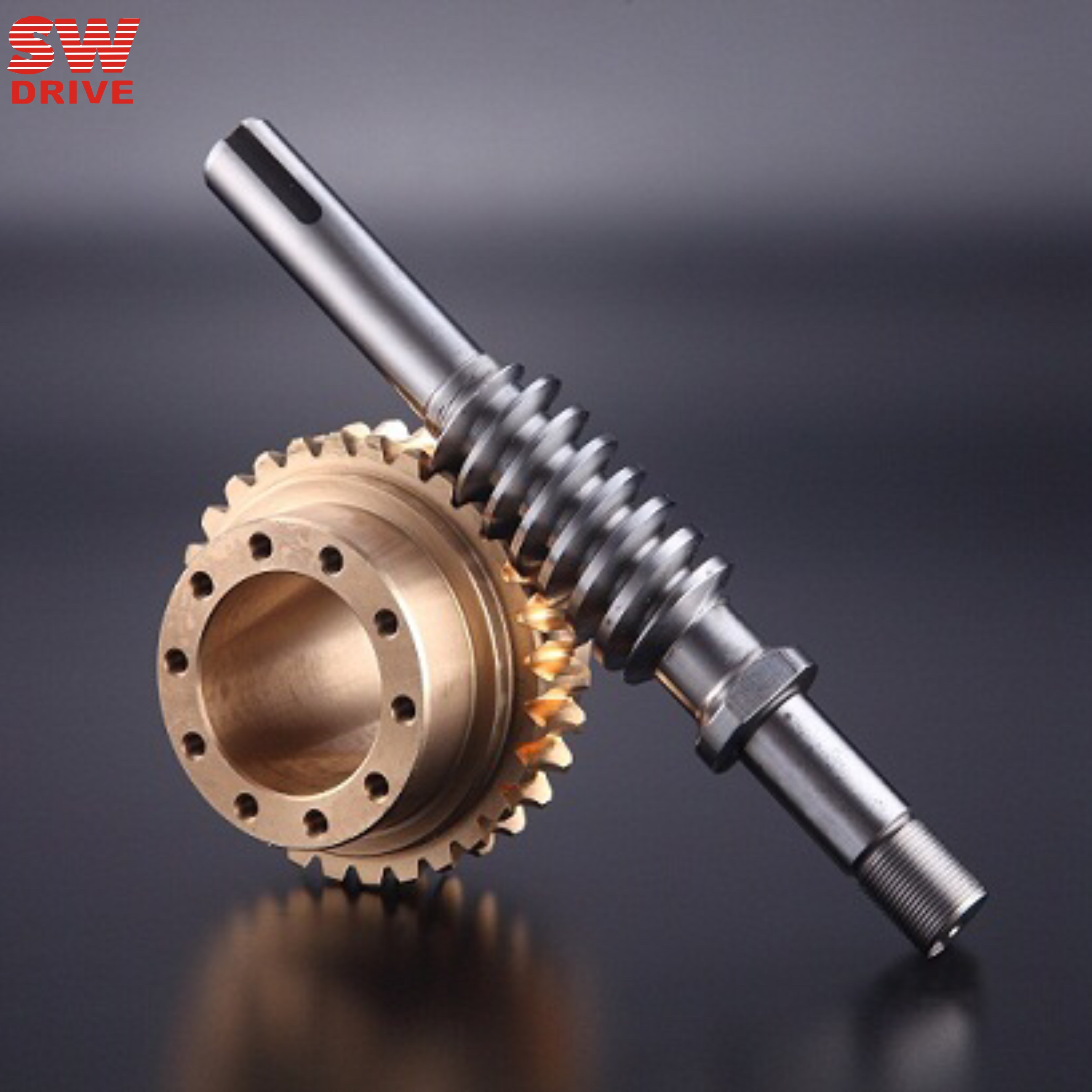 雙導程蝸輪蝸桿 雙導程蝸輪蝸桿